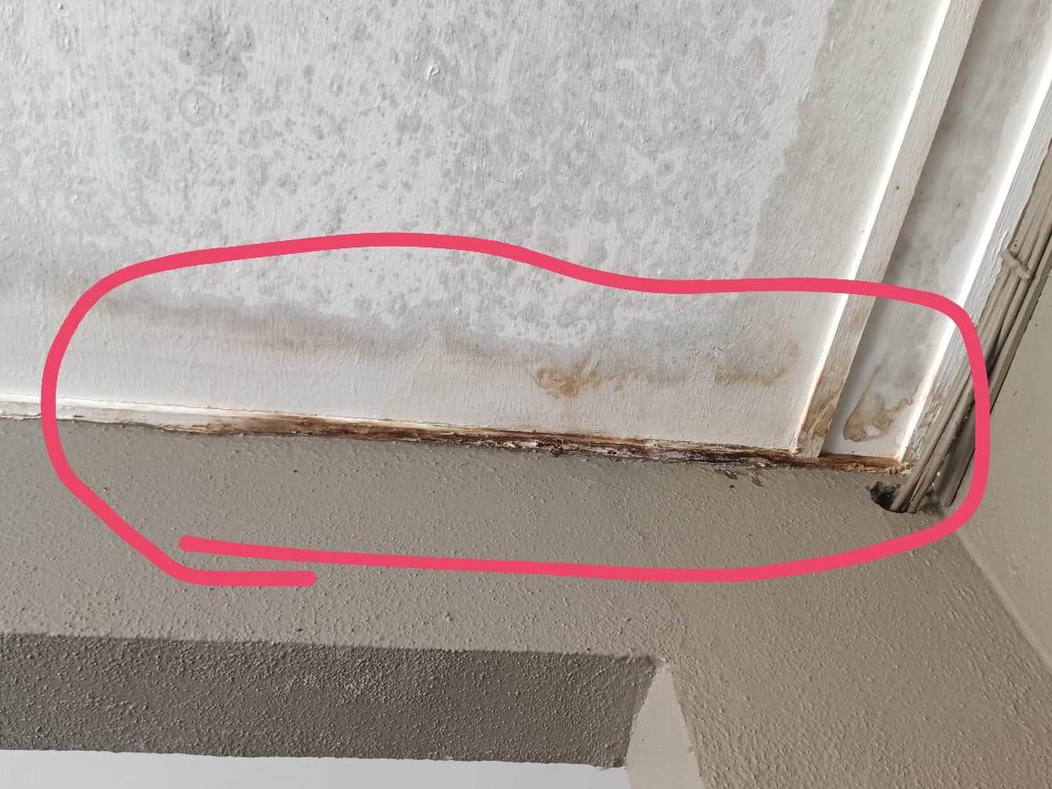 Image for Waterproofing Rumah: Kenapa Penting dan Apa Tanda Masalah