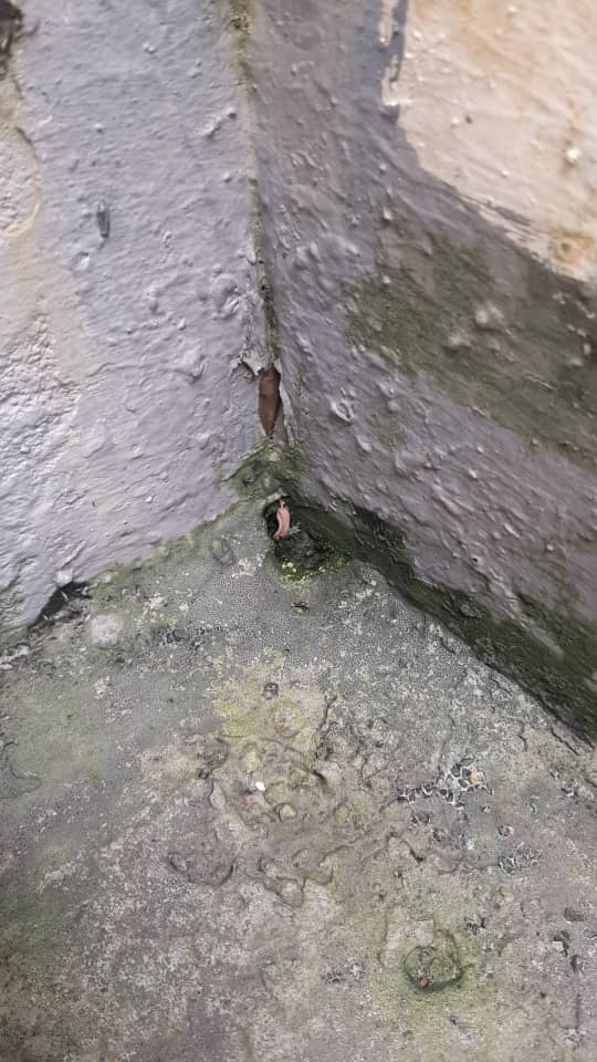 Image for Waterproofing & Leakage Control
