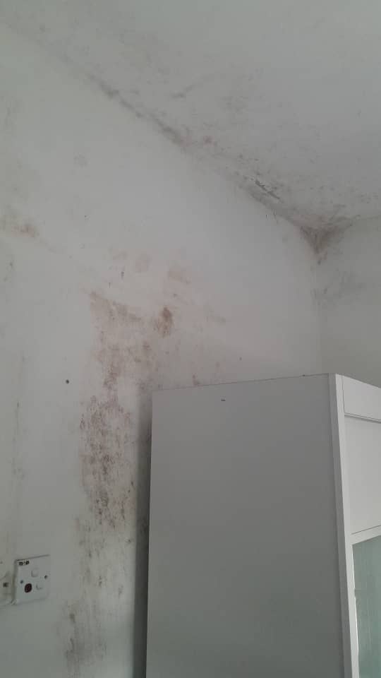 Tackling Common Home Repair and Maintenance Issues
