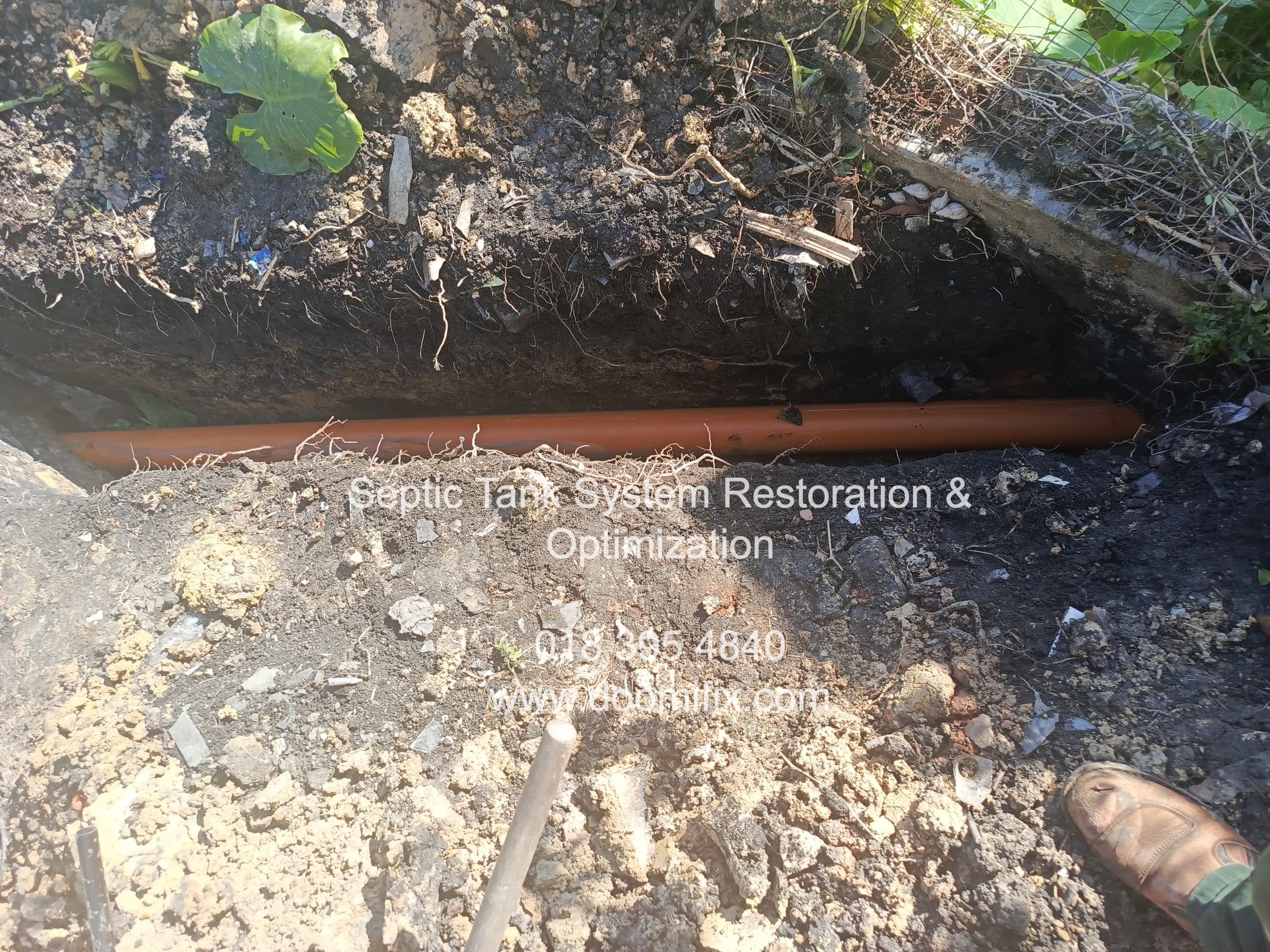 Septic Tank System Restoration & Optimization