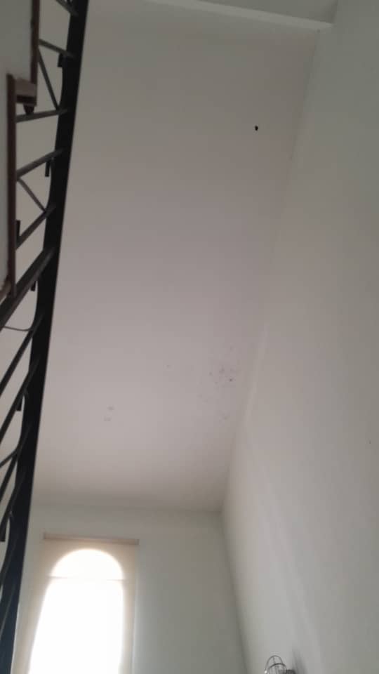 Tackling Common Home Repair and Maintenance Issues