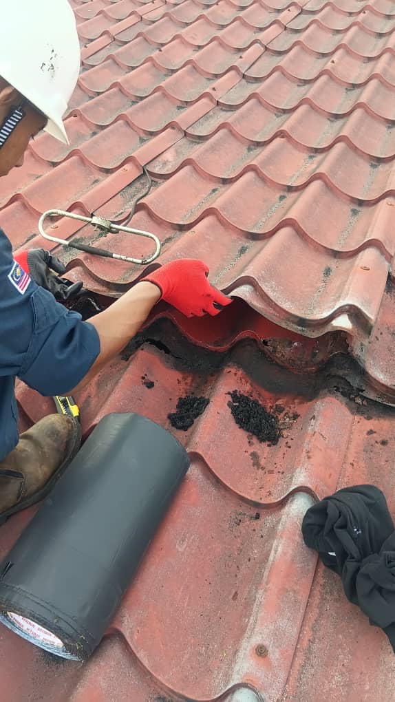 Image for Kenapa atap mudah reput? Ini antara puncanya..