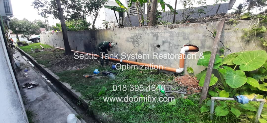 Septic Tank System Restoration & Optimization