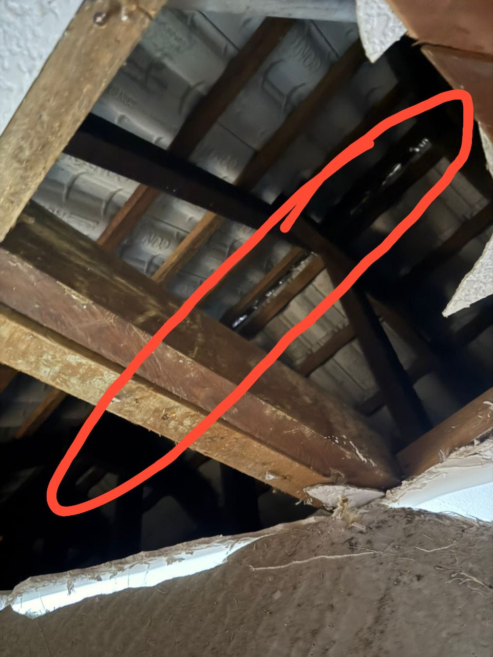 Image for Masalah Kebocoran Rabung Bumbung: Hubungi je team Doomifix.com, senang!