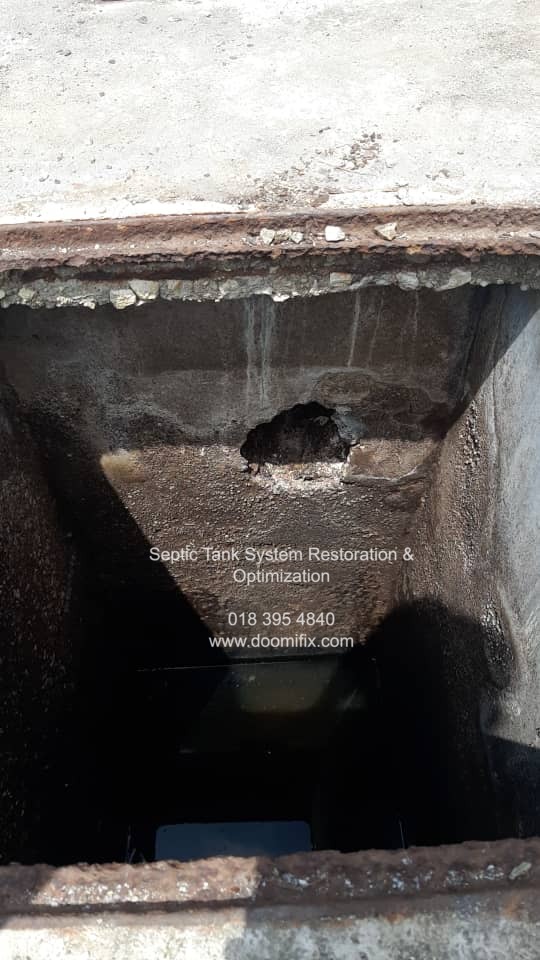 Septic Tank System Restoration & Optimization