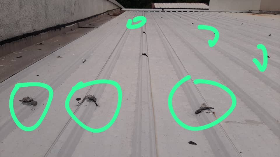 Waterproofing & Leakage Control