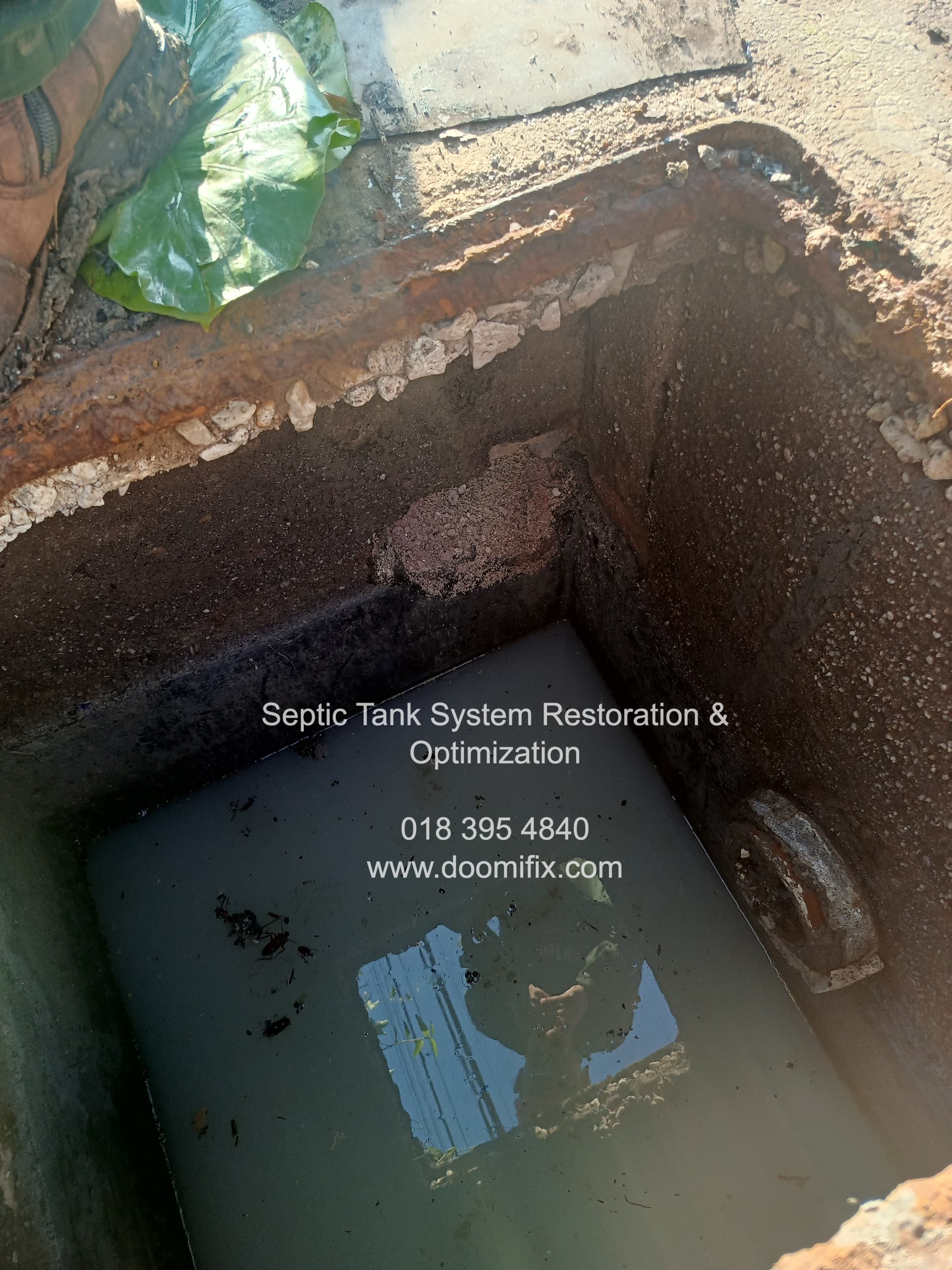 Septic Tank System Restoration & Optimization