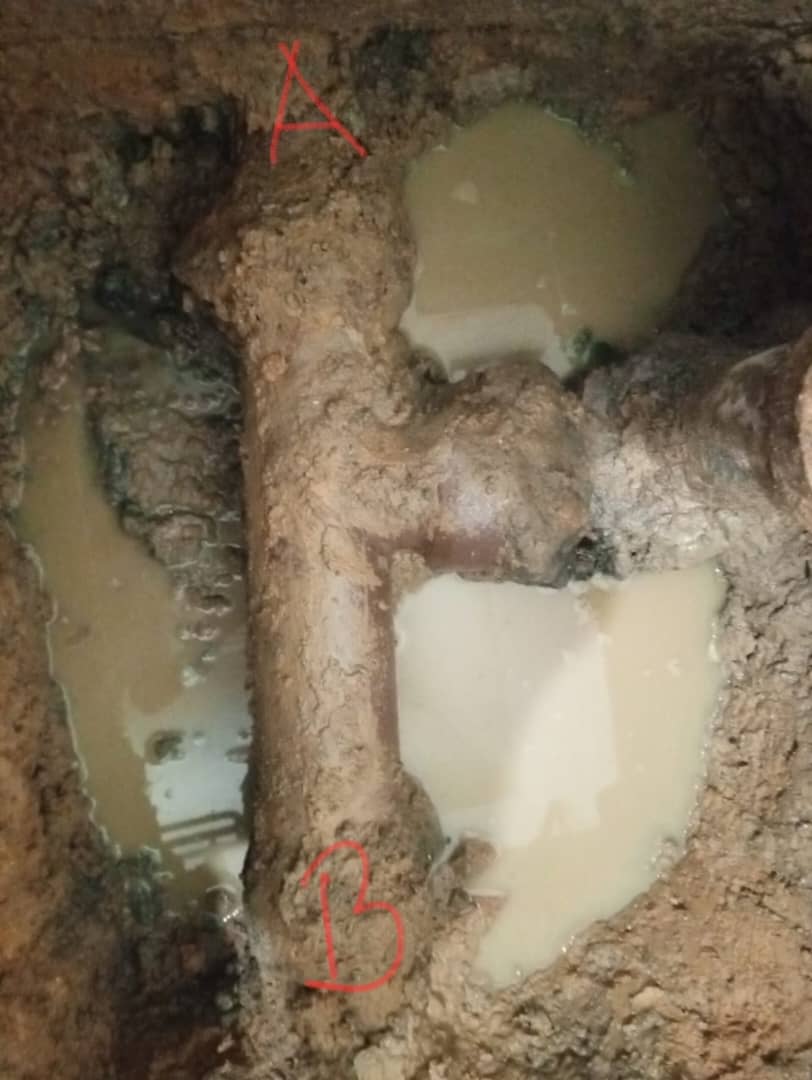 Waterproofing and Septic Tank Maintenance