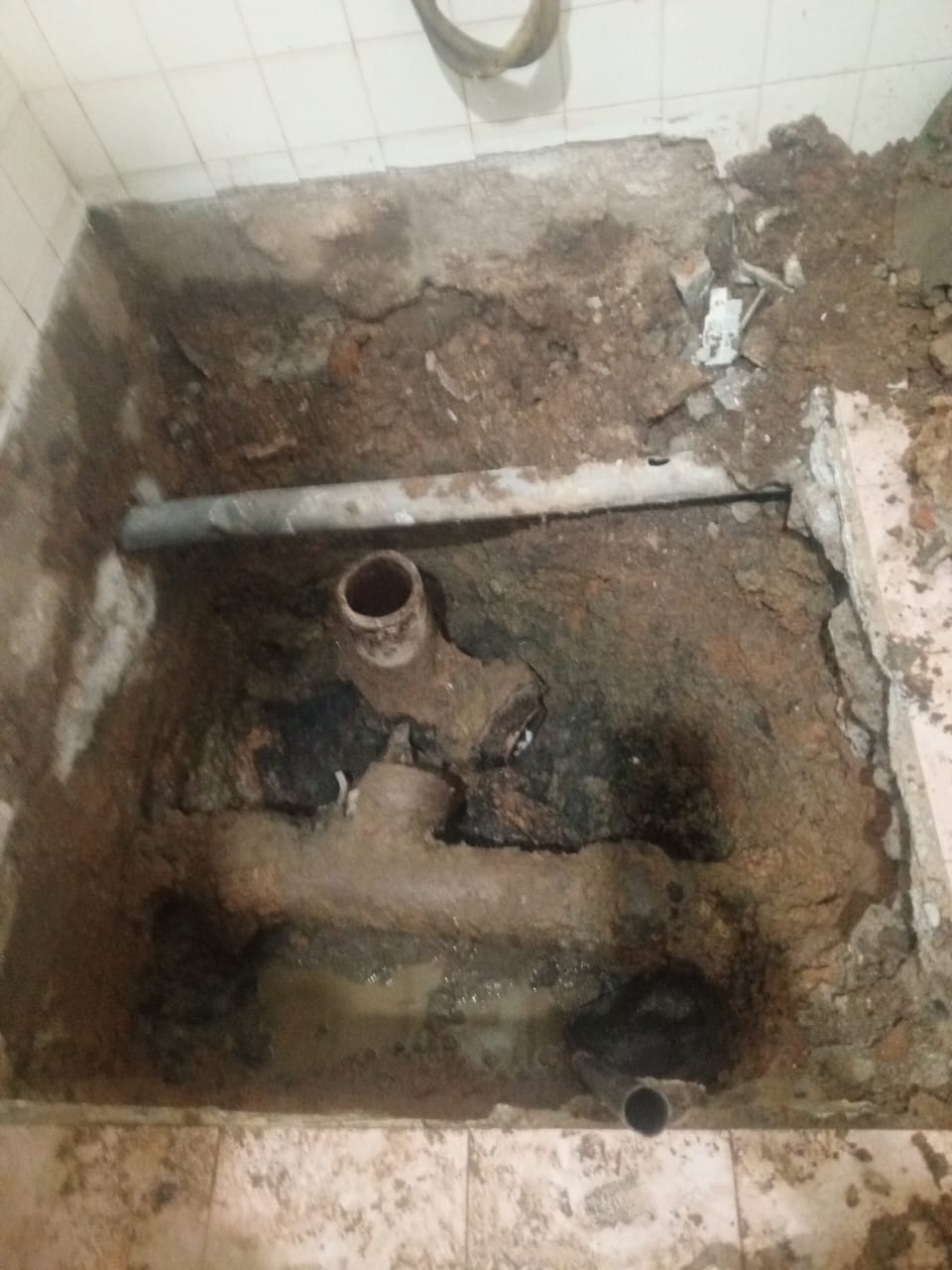 Waterproofing and Septic Tank Maintenance