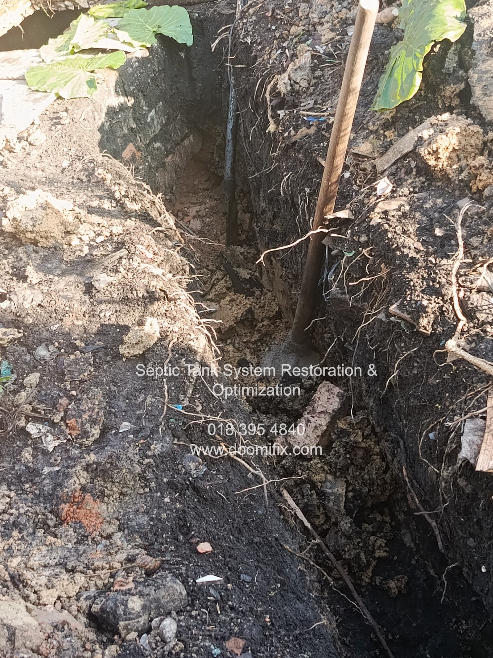 Septic Tank System Restoration & Optimization