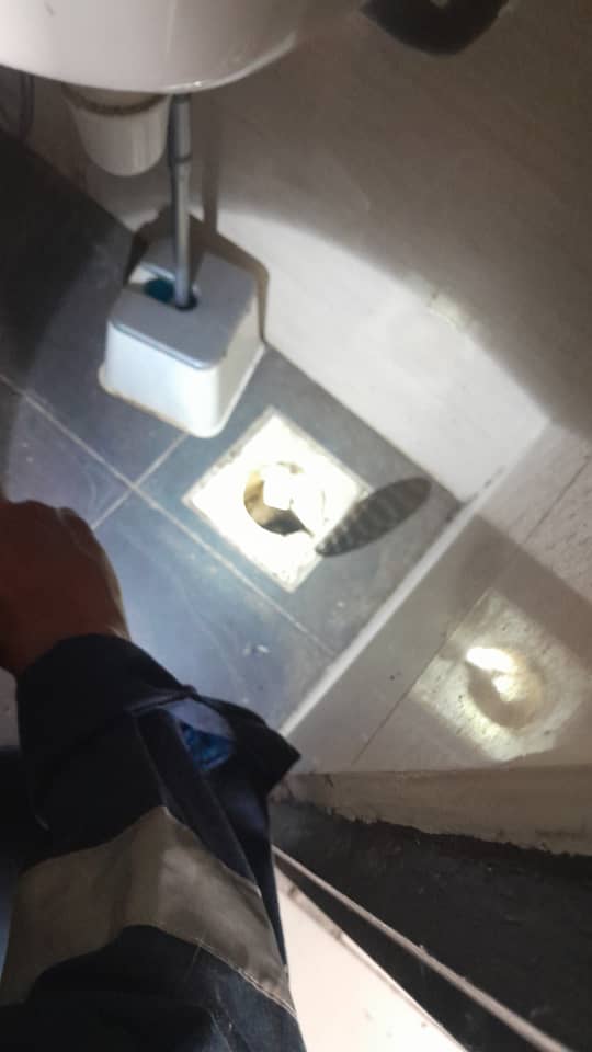 Tackling Common Home Repair and Maintenance Issues